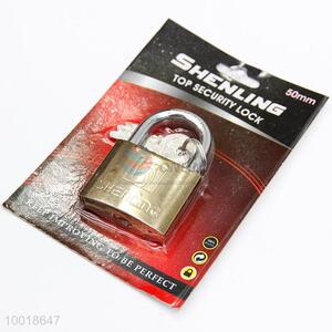 High <em>security</em> gold padlock
