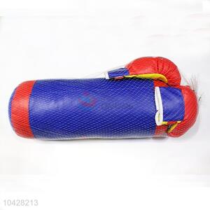 Punching bag and gloves set boxing set