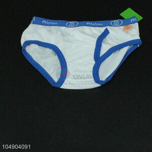 Wholesale Nice Boy's Underpants for Sale