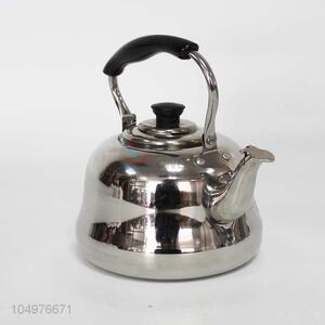 2L Stainless Steel Teapot With Handle