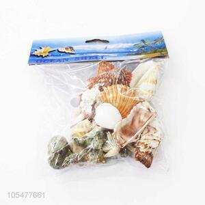 Best Selling Shell/Conch Crafts Fashion Decoration