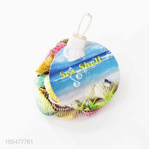 Hot Sale Colorful Sea Shell Decorative Shell Craft