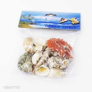 Wholesale Decorative Shell Craft Best Ocean Shell