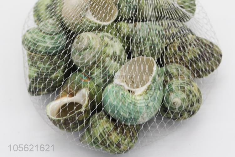 Wholesale Price DIY Crafts Supplies Mediterranean Shell Conch