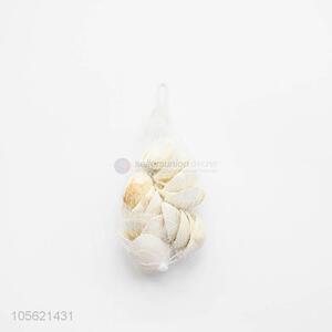 Reasonable Price Seashells Decorations Scallop Shells Crafts Decor Ornament