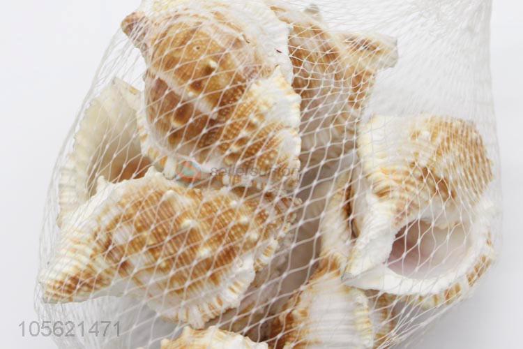 Good Factory Price Party Decor Shell Crafts