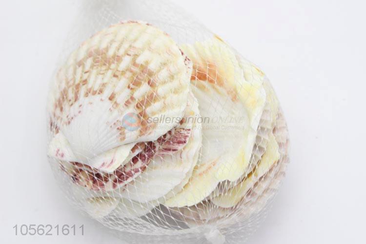 China Wholesale Party Decor Shell Crafts
