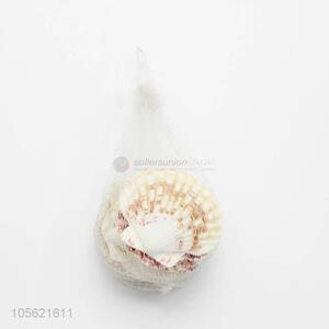 China Wholesale Party Decor Shell Crafts