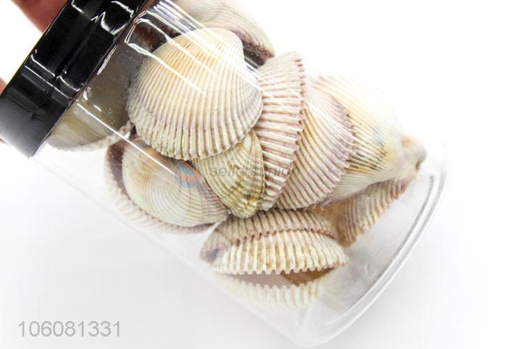 Newest natural sea shell fashion shell conch crafts set