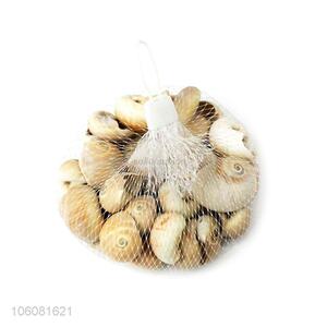 Hot selling natural sea shells for home decoration