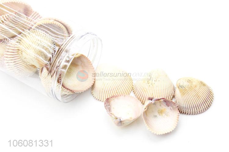 Newest natural sea shell fashion shell conch crafts set