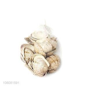 Competitive price decorative natural crushed sea shell