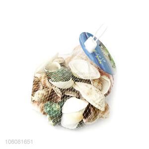 Superior quality sea shells shell craft decor ornaments