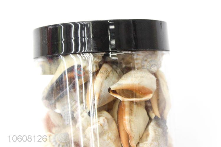 High quality natural sea shell best conch crafts