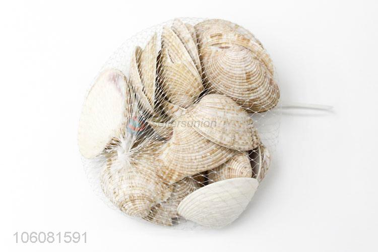 Competitive price decorative natural crushed sea shell