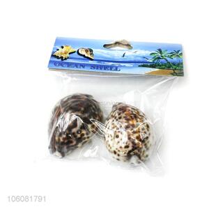 Good quality natural sea shell best conch crafts