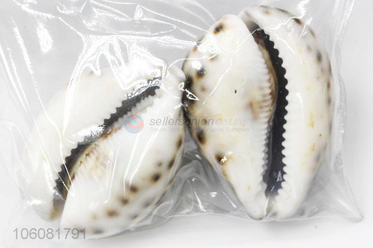 Good quality natural sea shell best conch crafts
