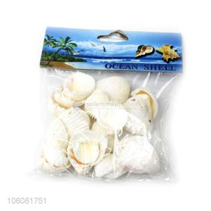High sales natural sea <em>shell</em> best <em>shell</em> conch <em>crafts</em>
