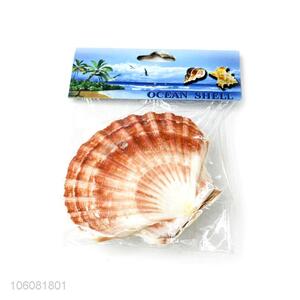 Wholesale sea shell best shell decorative shell craft