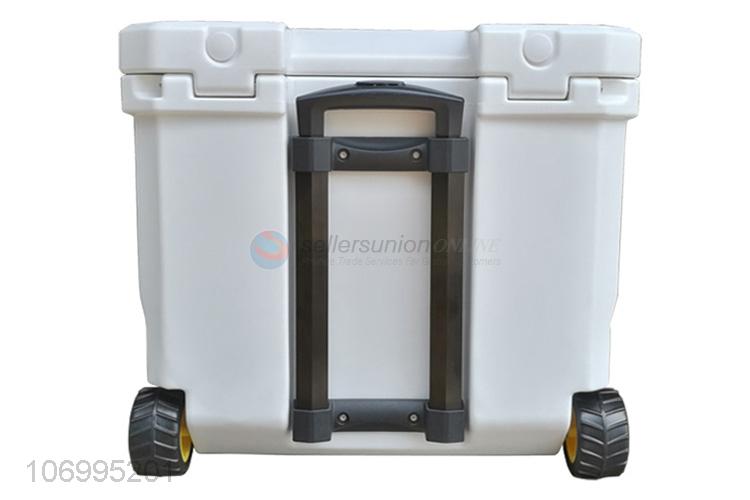 Credible quality 35L food grade enviromental material insulated box cooler box