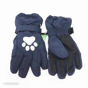 Professional wholesale Outdoor Supplies Windproof  Warm Ski Gloves