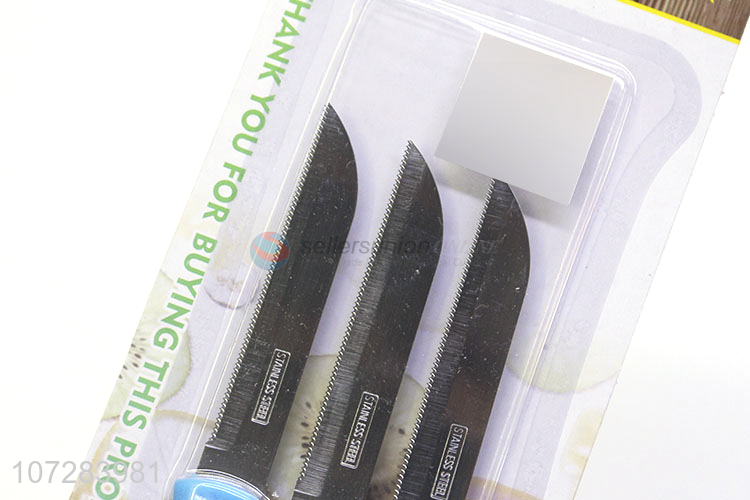 High Sales 3Pcs/Set Plastic Handle Stainless Steel Fruit Knife