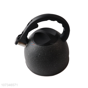 Factory supply durable 2.5L kettle with cheap price