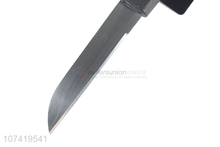 Fashion Design Stainless Steel Fruit Knife Kitchen Knife