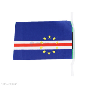 Hot selling Cape Verde country flags car flag for event