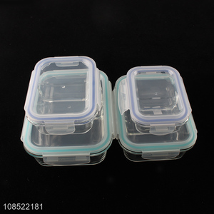 Top selling portable glass food preservation box wholesale