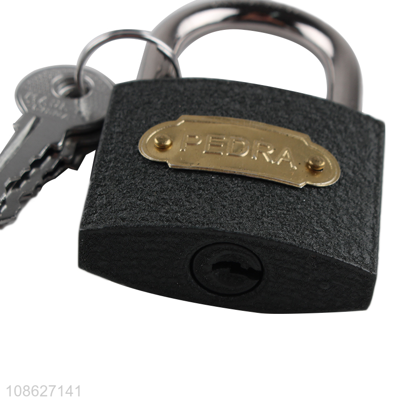 Top products multifunctional iron padlock ring latch