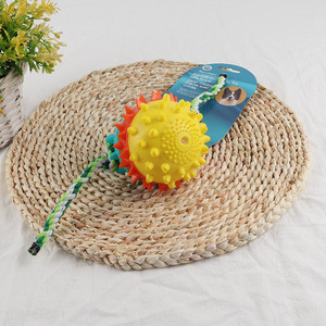 Factory price squeaky spiky pet toy ball