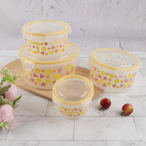 Hot selling 4pcs/set airtight food storage containers