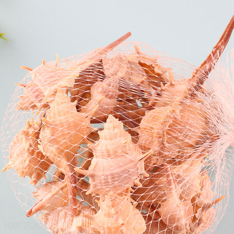 Hot selling natural sea shells fish tank vase fillers