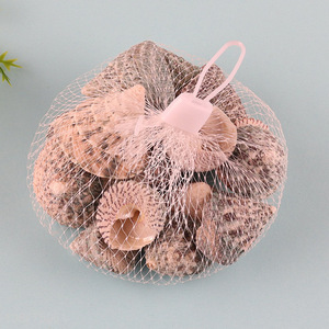 Factory price small natural sea shells for DIY crafts