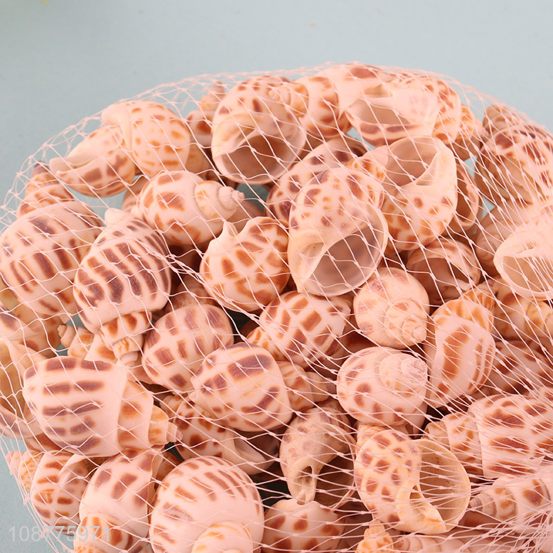 Online wholesale small natural sea shells for DIY crafts
