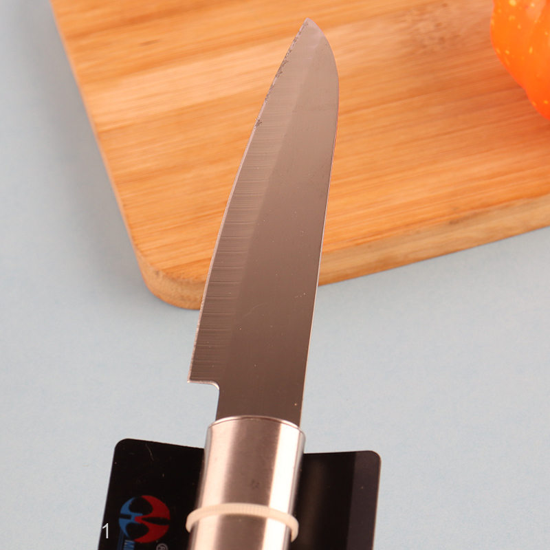 Popular products stainless steel kitchen fruits knife