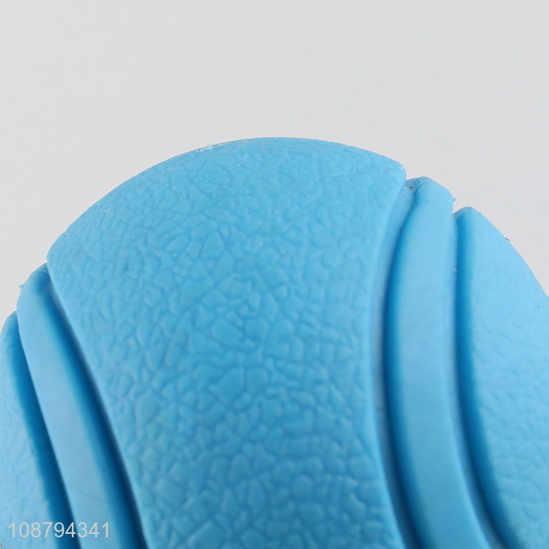 Most popular blue pet bouncy ball