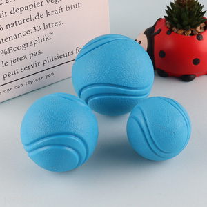 Most popular blue pet bouncy ball