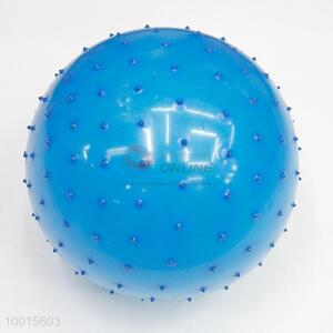 Attractive Price Blue Massage ball