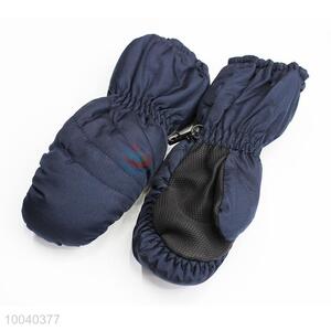 Blue Warm Gloves/Ski Gloves/Winter Gloves