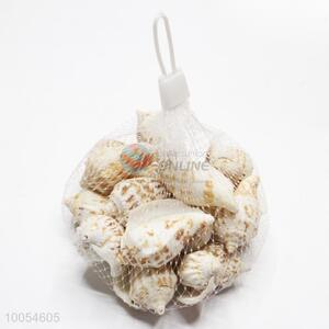 High Quality Beautiful Natural Shell For Promotion