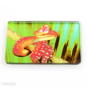 Rectangular Glass Fridge Magnet