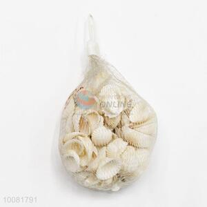 Promotional Pretty Seashell for Art and Crafts