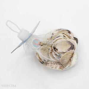 Beautiful Decorative Shell Crafts, Wholesale Seashell