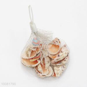 High Quality Natural Seashell Crafts for Decoration