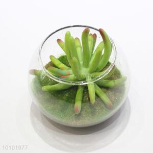 Adorable artificial succulent plants glass miniascape