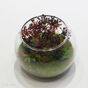 Simulat succulent plants glass miniascape