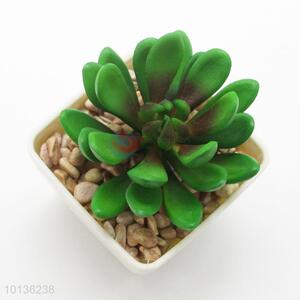 Cheap Price Green Color Plants Decoration Artificial Succulent Plants