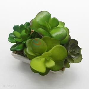 Realistic Artificial Green Succulent Plants Home Decoration